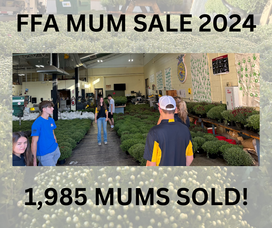 FFA Mum Sale