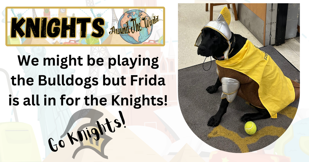 picture of Frida the therapy dog in a knights costume made for dogs