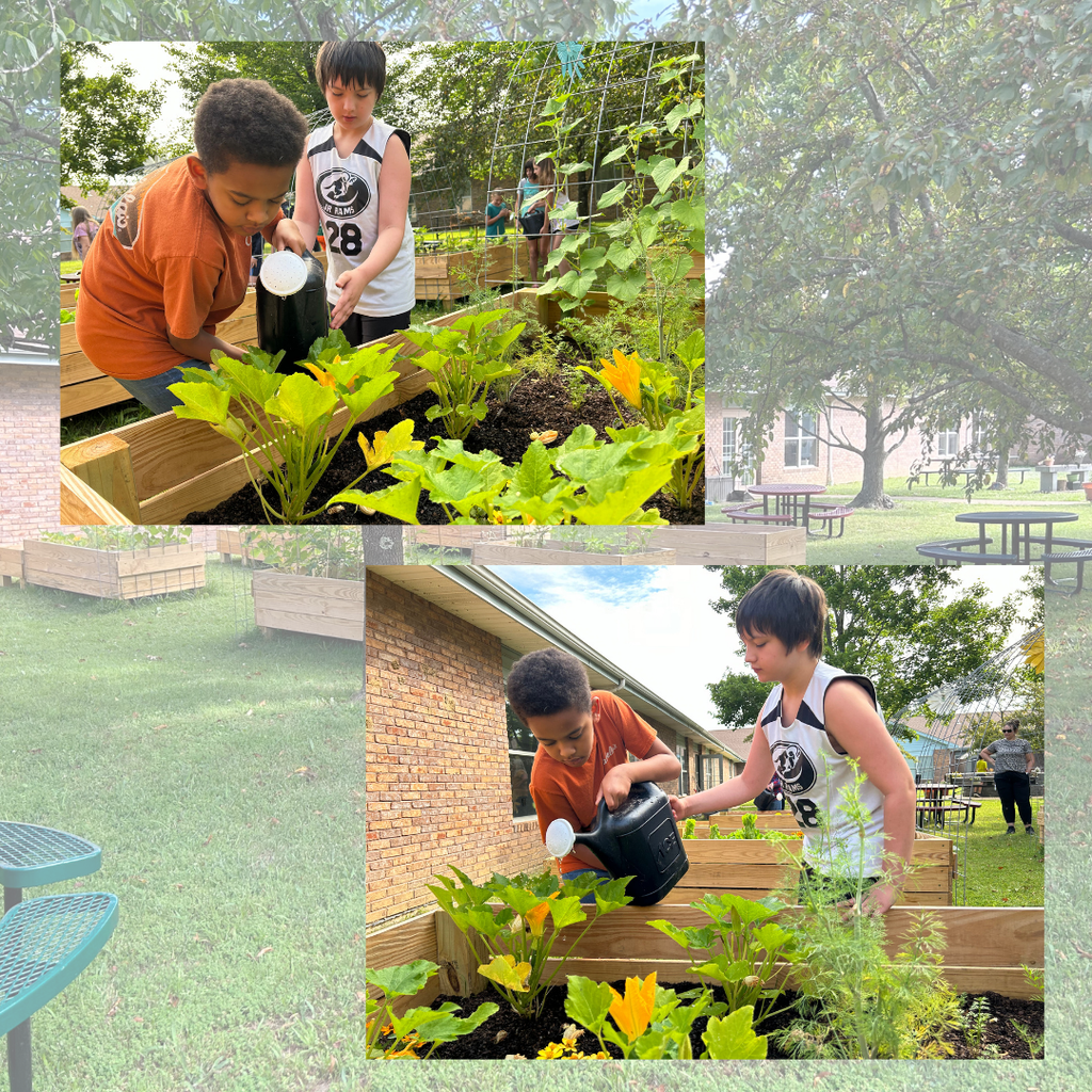 Students working in the community garden at DBLC
