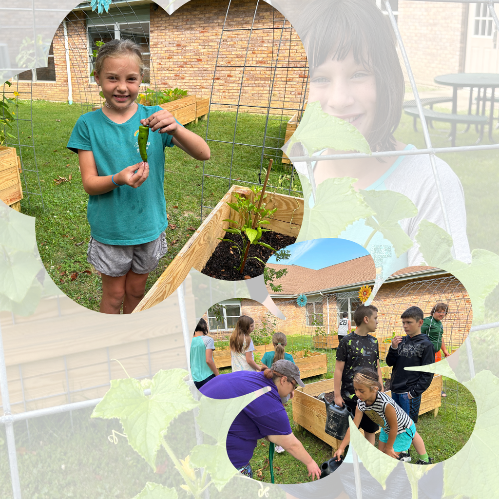Students working in the community garden at DBLC
