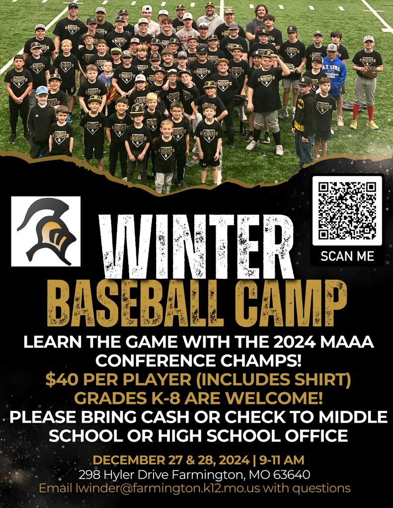 Winter Baseball Camp