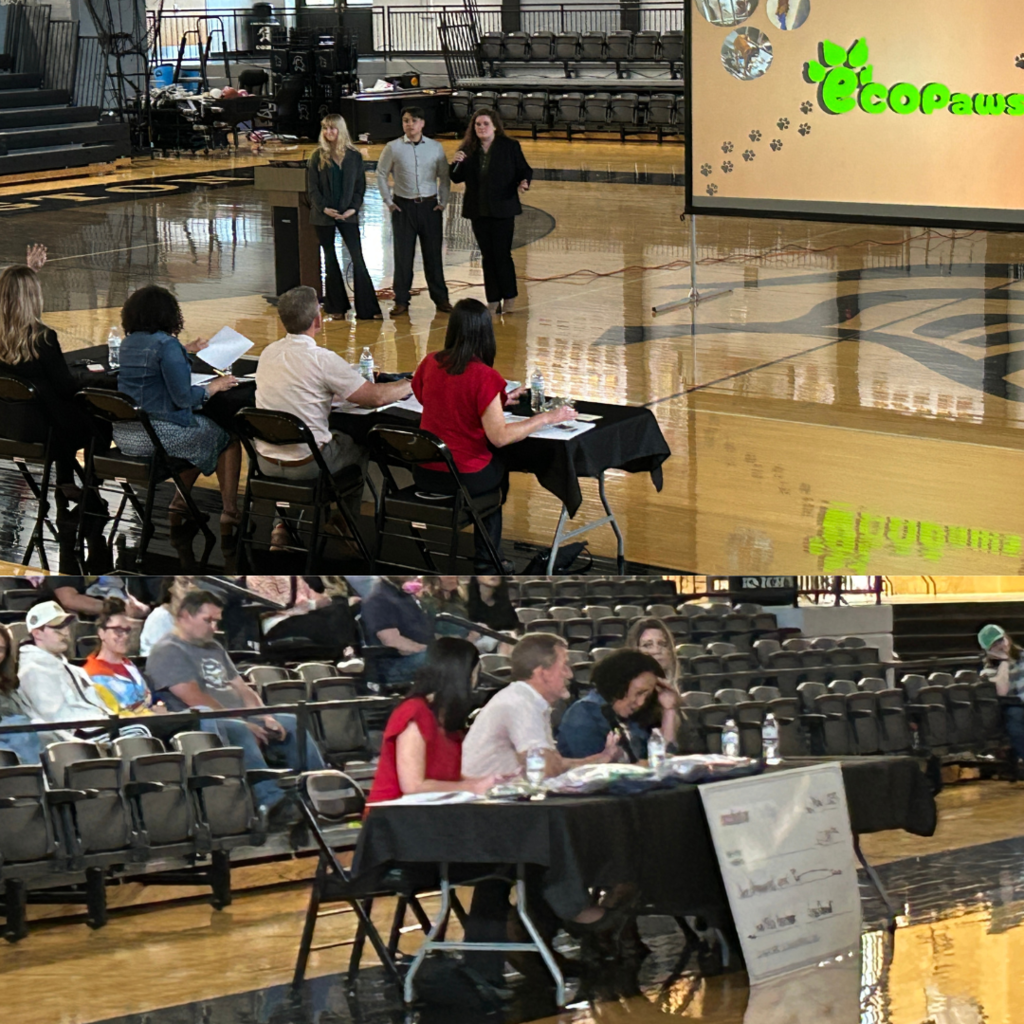 students pitching to the judges