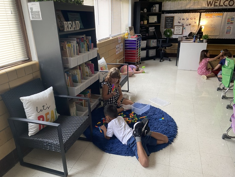 students working with stem bins