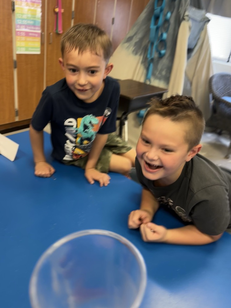 students working together 