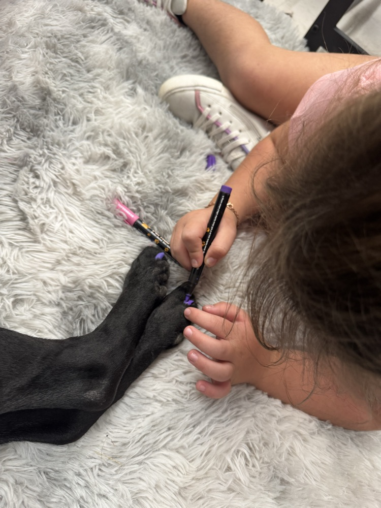 Fredia gets pampered and a friend enjoys her time giving her love ā¤ļø