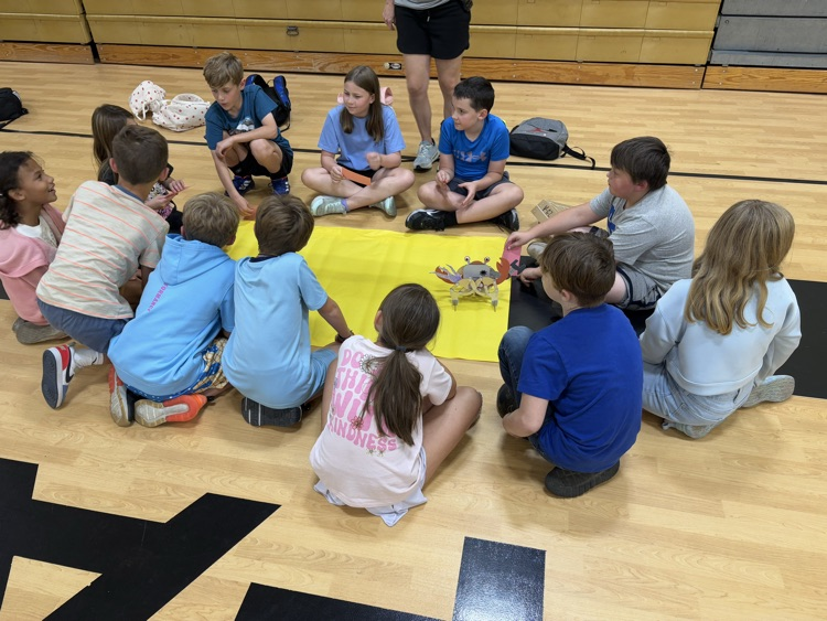 fourth graders presenting their science fair projects