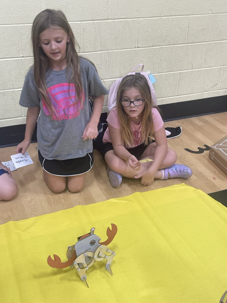 fourth graders presenting their science fair projects