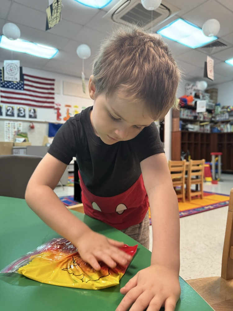 Prek fall leaves sensory activity