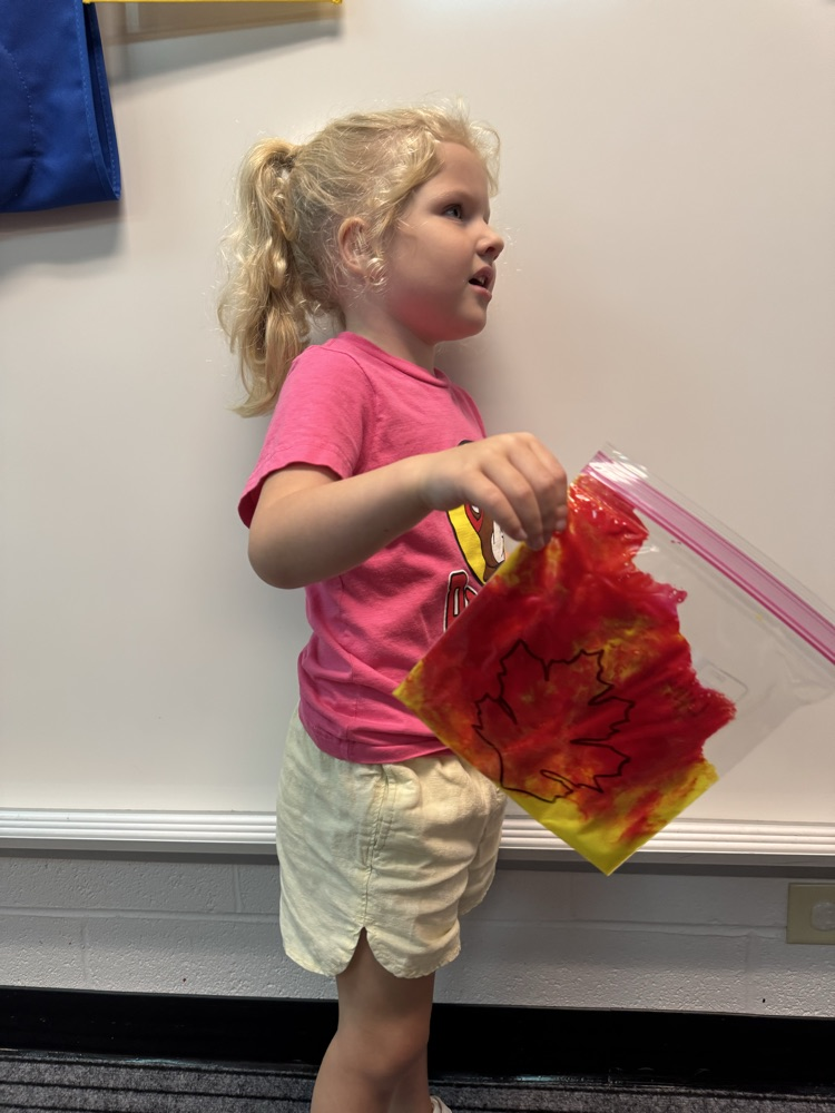Prek fall leaves sensory activity