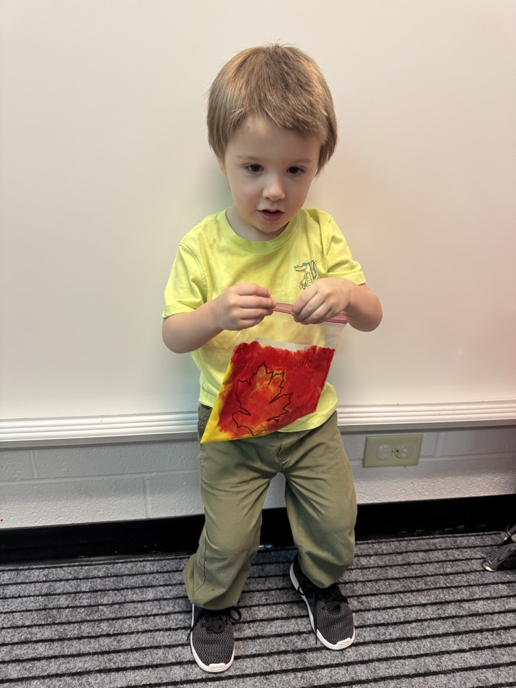 Prek fall leaves sensory activity