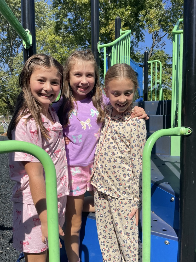 Knights hibernating in the wild