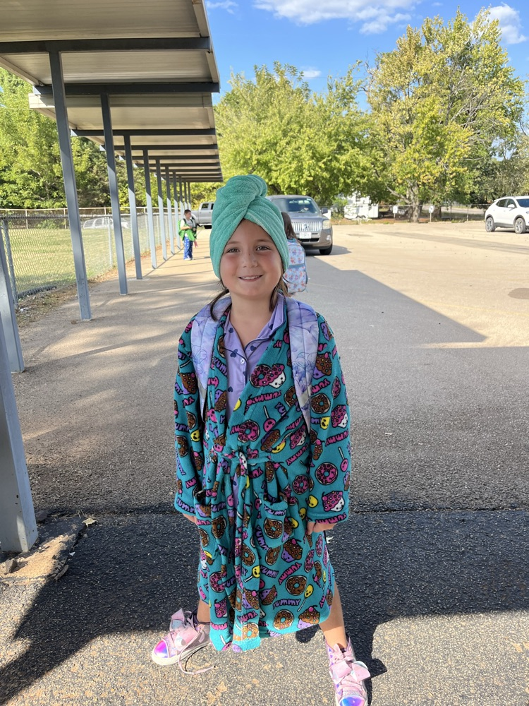 Knights hibernating in the wild