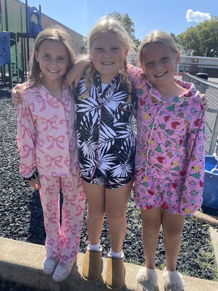 Knights hibernating in the wild