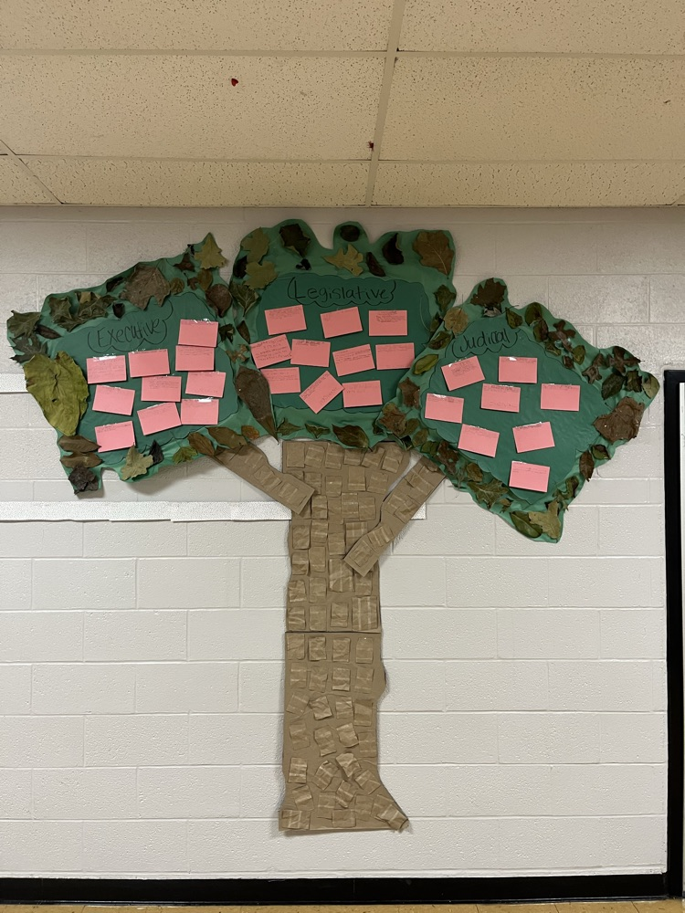 3 Branches of Government Project