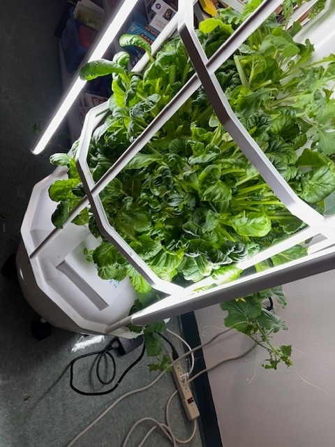 tower garden
