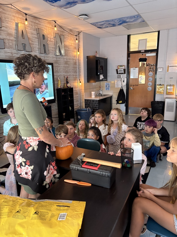 students observing pumpkimpumpkin