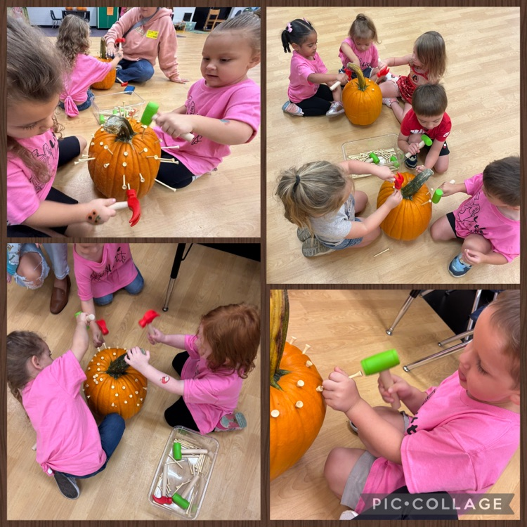 little squires pumpkin patch day at school !