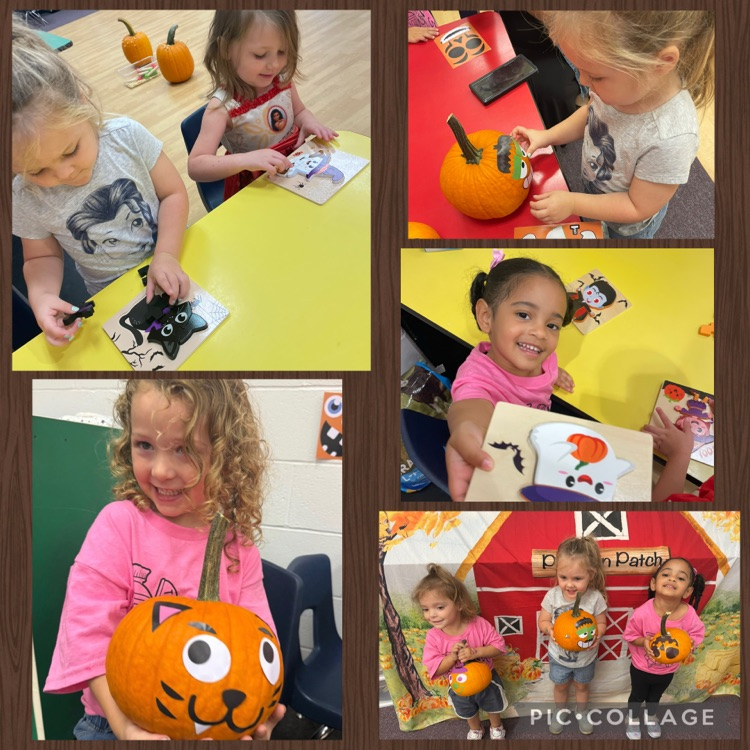 little squires pumpkin patch day at school !
