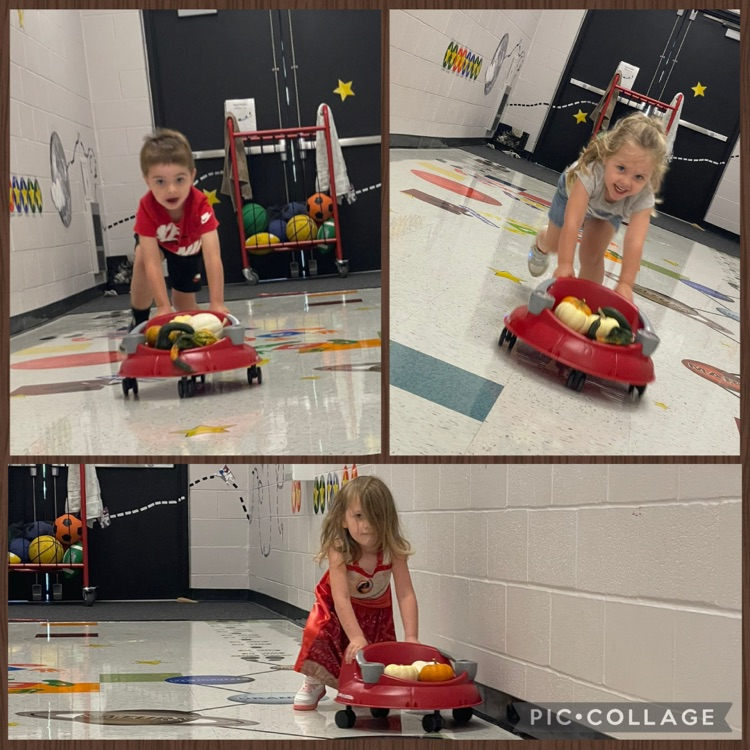 little squires pumpkin patch day at school !