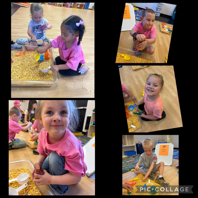 little squires pumpkin patch day at school !