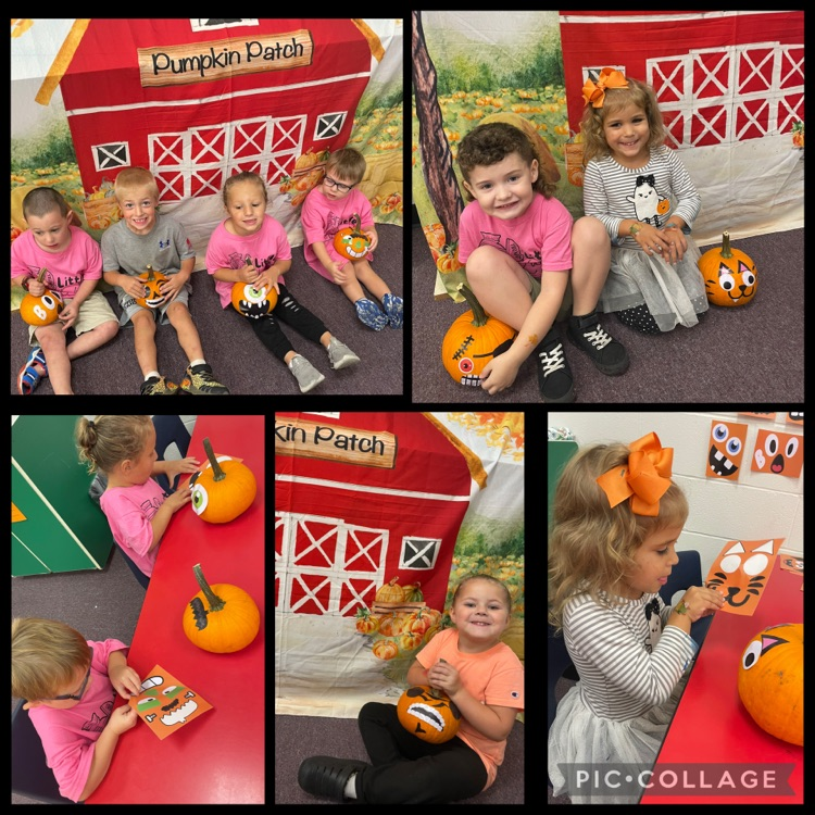 little squires pumpkin patch day at school !