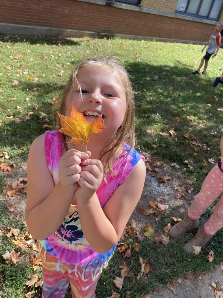 leaf hunt adventure with first grade students