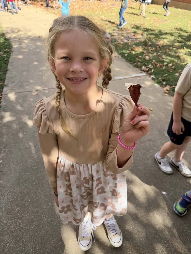 leaf hunt adventure with first grade students