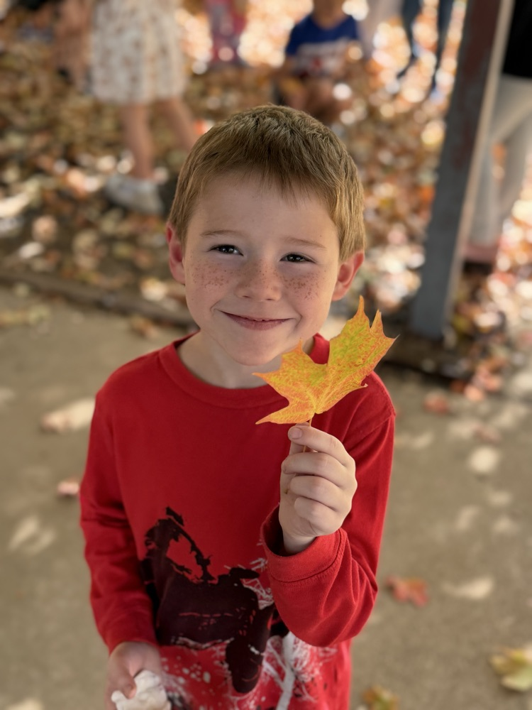 leaf hunt adventure with first grade students