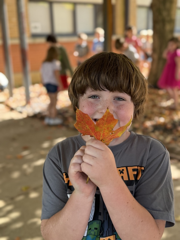 leaf hunt adventure with first grade students