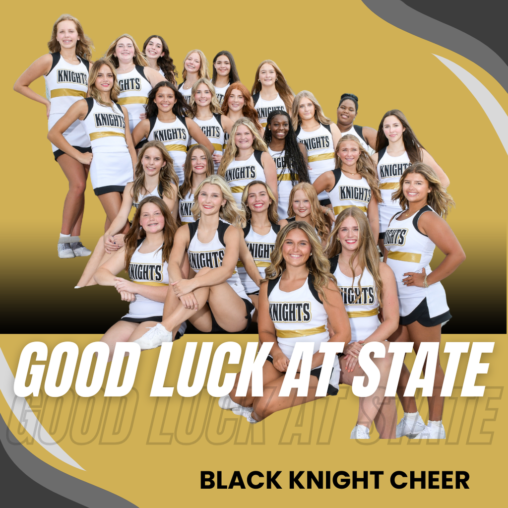 picture of the cheer team