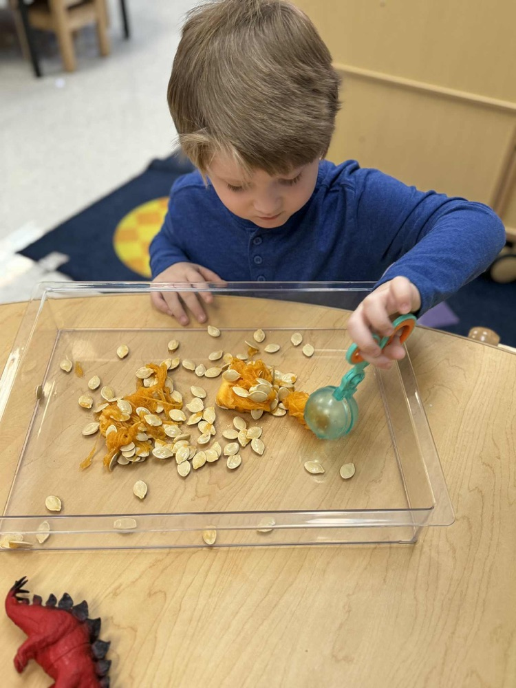 fine motor activity 