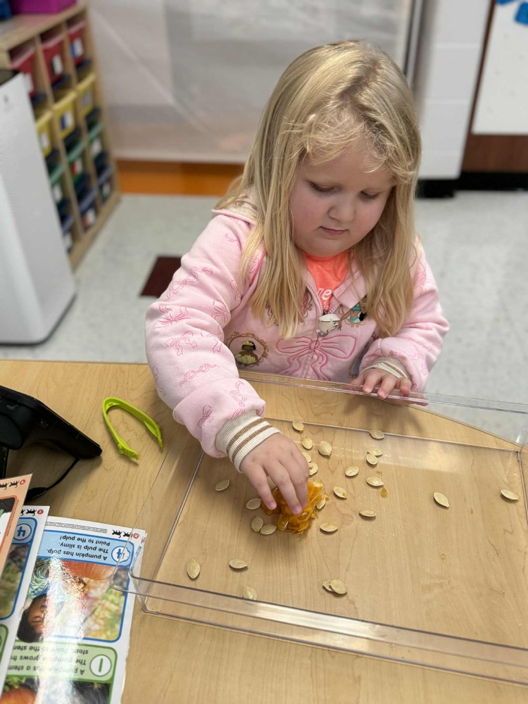 fine motor activity 