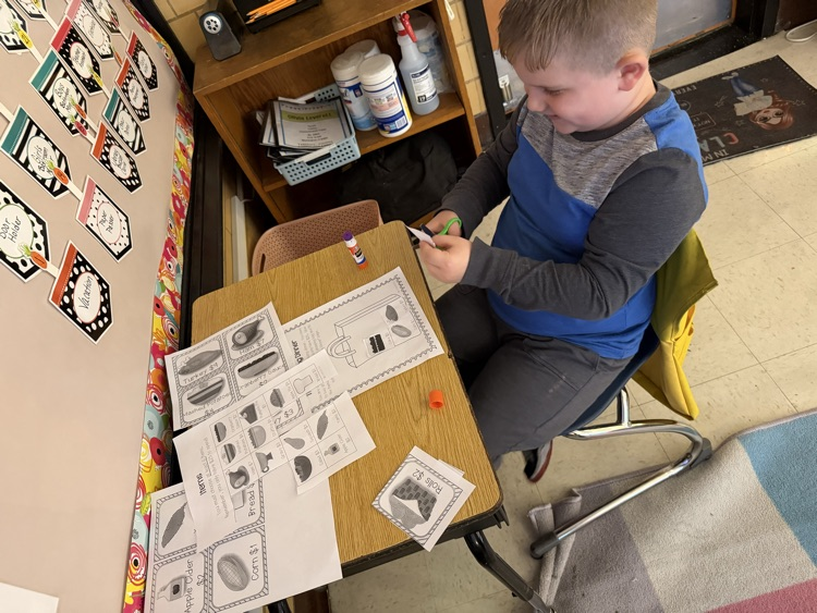 thanksgiving math activity in first grade 