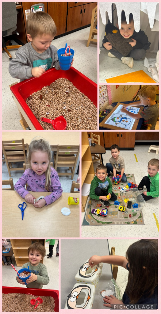 Feeding the Penguins 