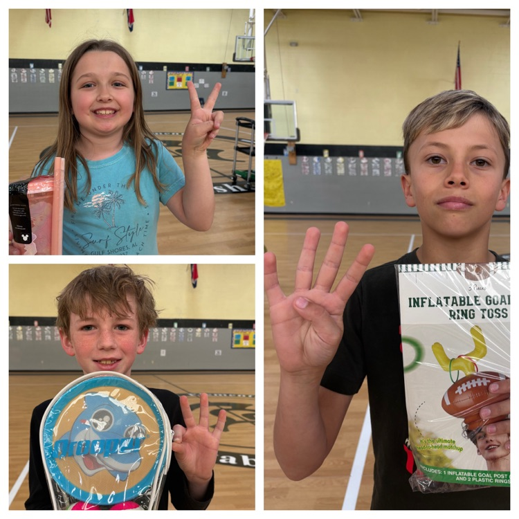 students with the highest attendance percentage in their grade level