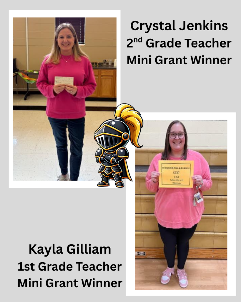 FSD Mini Grant Winners from CTA