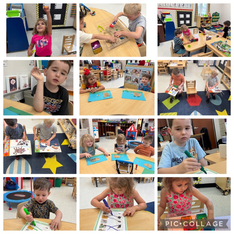 Insects, Animals, and Their Habitats
