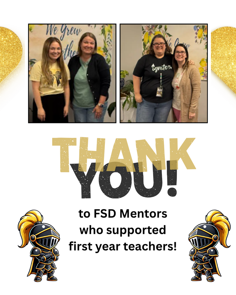 FSD Mentors