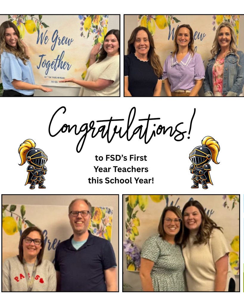 FSD Mentors