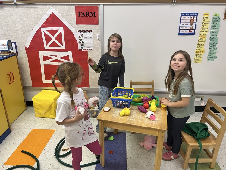  farm dramatic play
