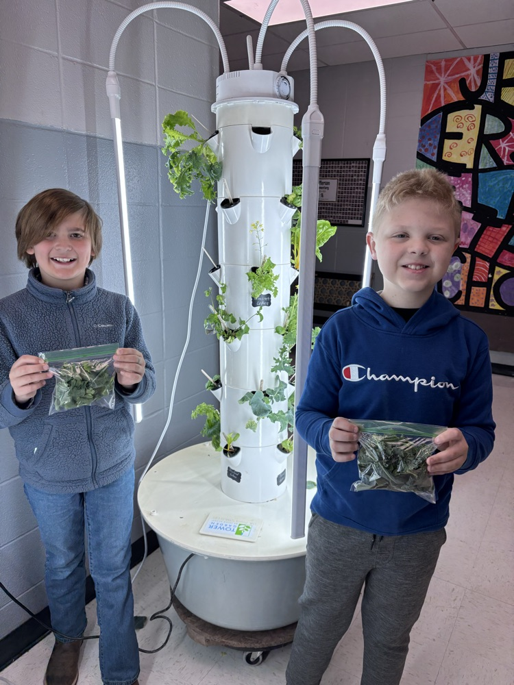 harvesting greens