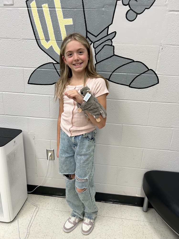 cami testing winner!