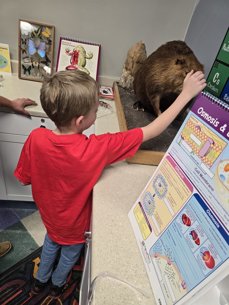 Students at a field trip