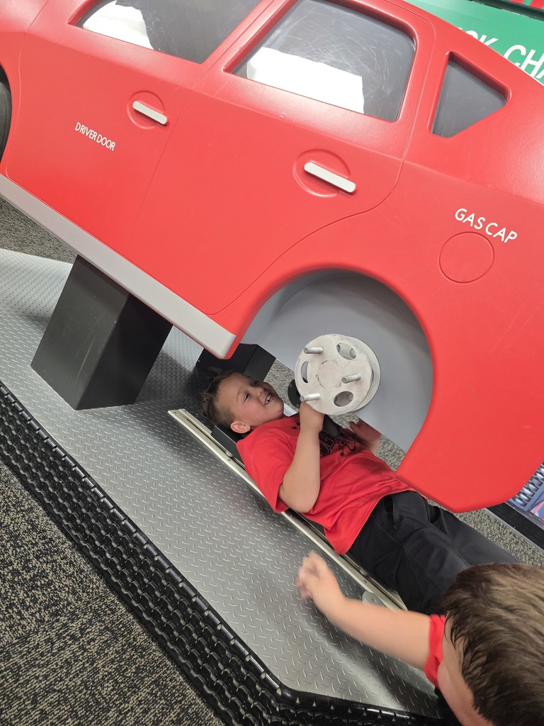 Students at a field trip