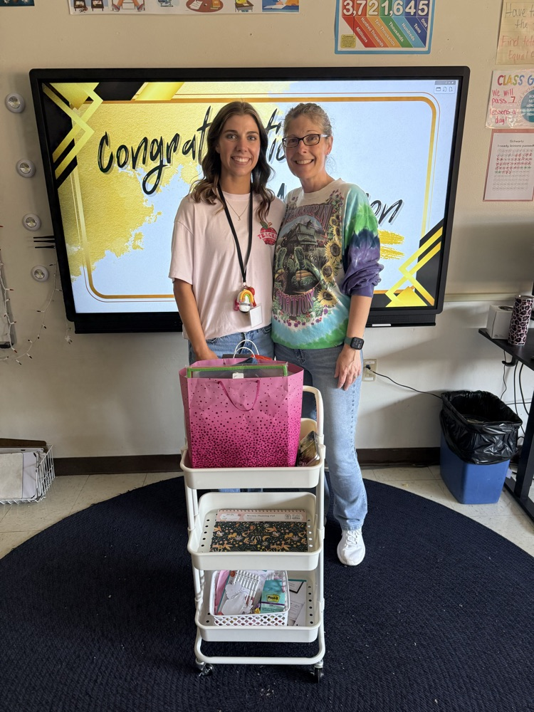 student teacher and mentor