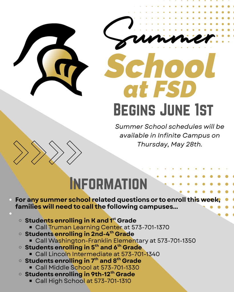 Summer School at FSD