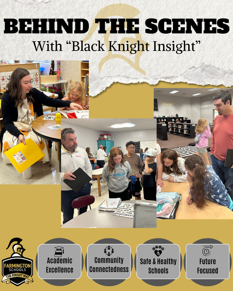 Black Knight Insight promotional flyer