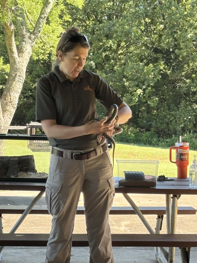 A naturalist holding a snake
