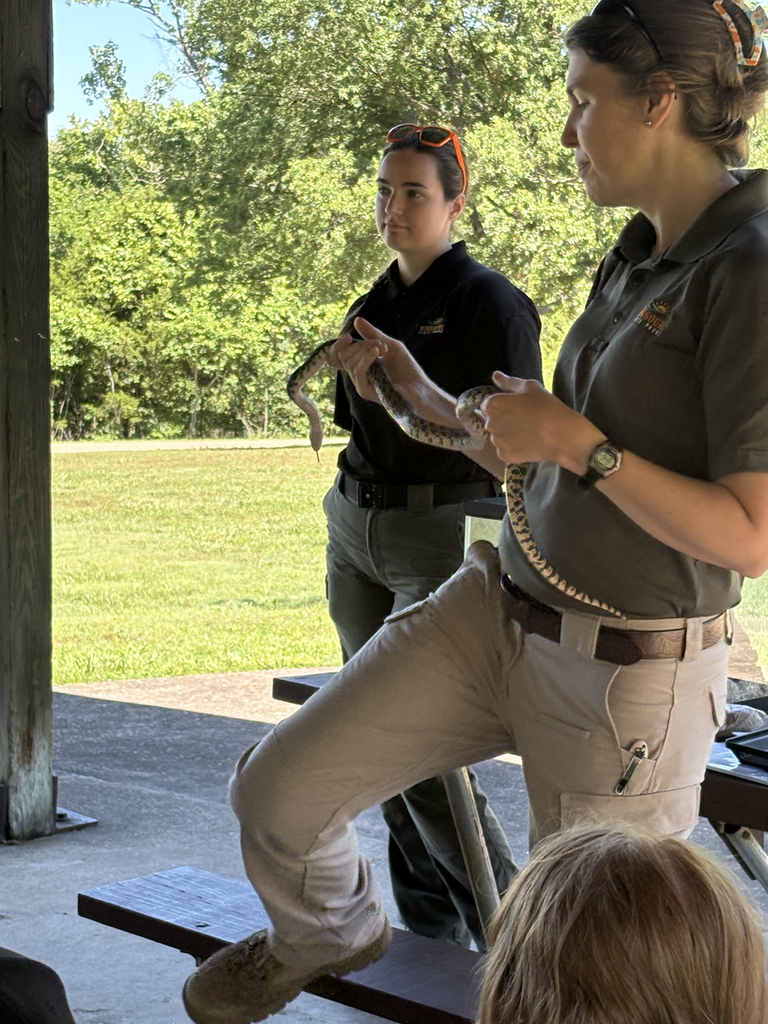 Kids at a park learning about snakes