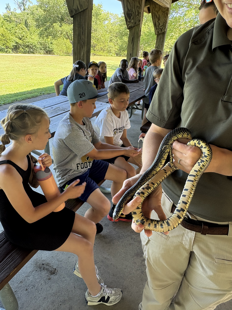 Kids at a park learning about snakes